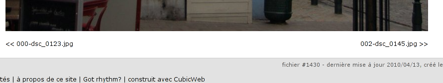 screenshot of the previous/next entity component